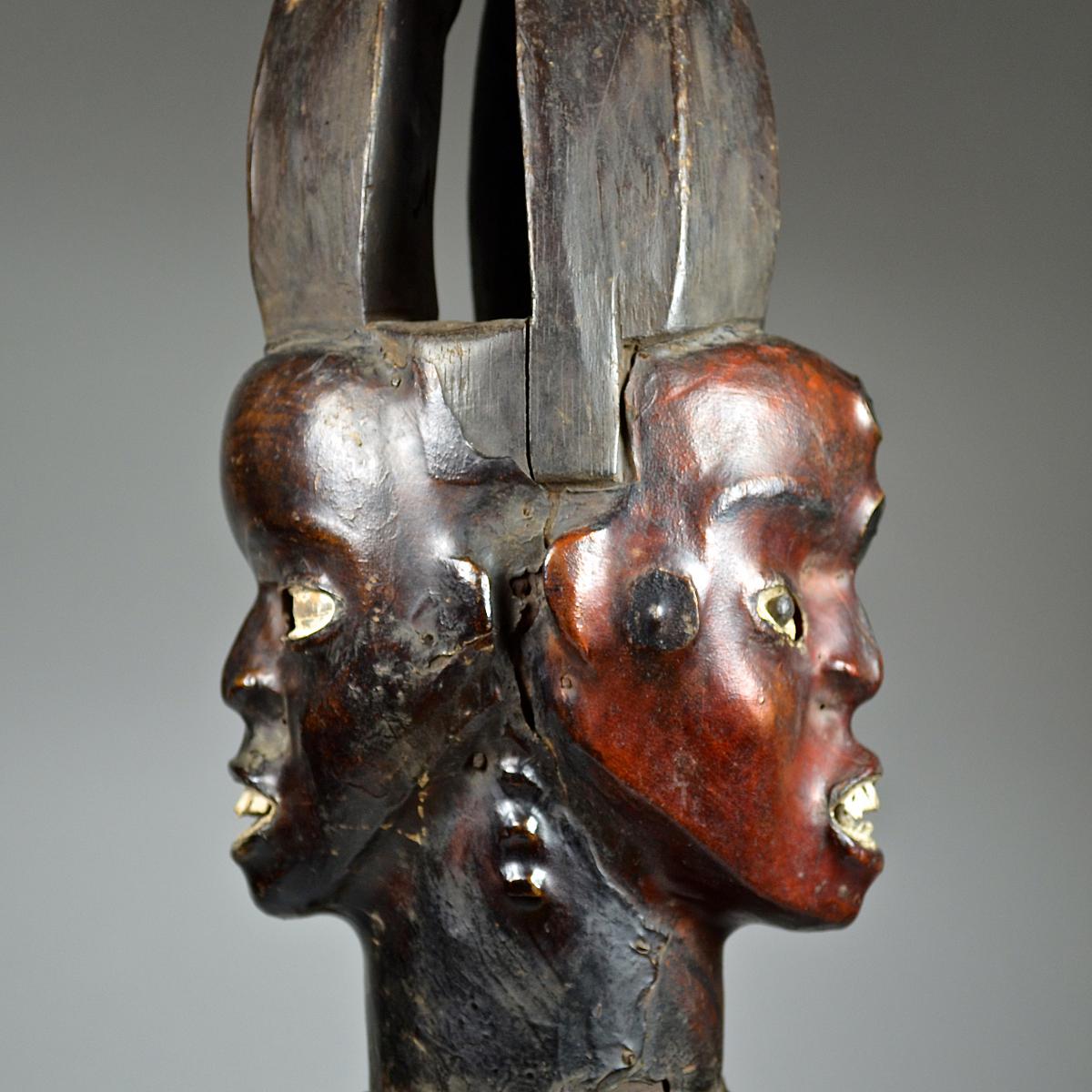 EJAGHAM / EKOI CROSS RIVER JANUS CREST